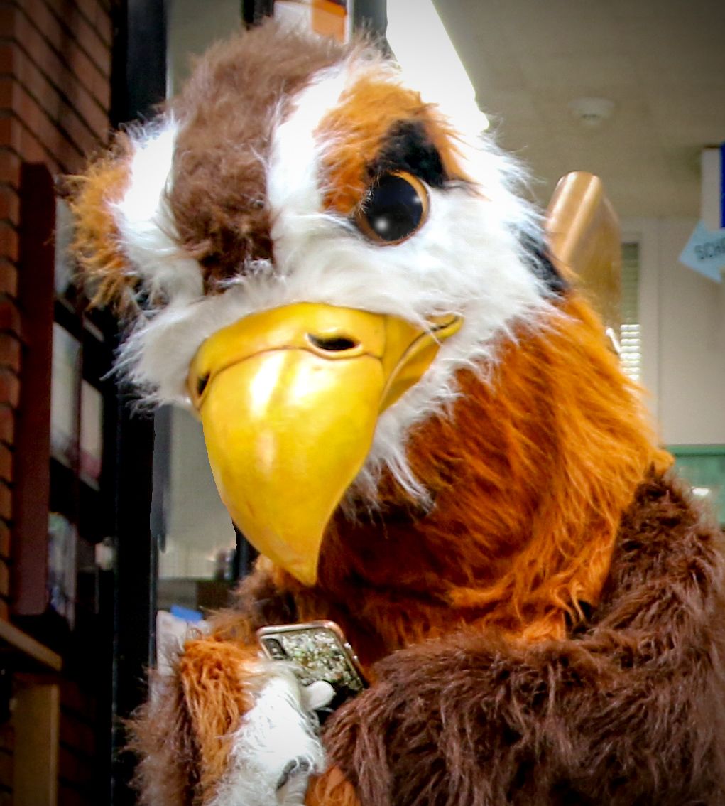 Hawkeye mascot holding a cellphone