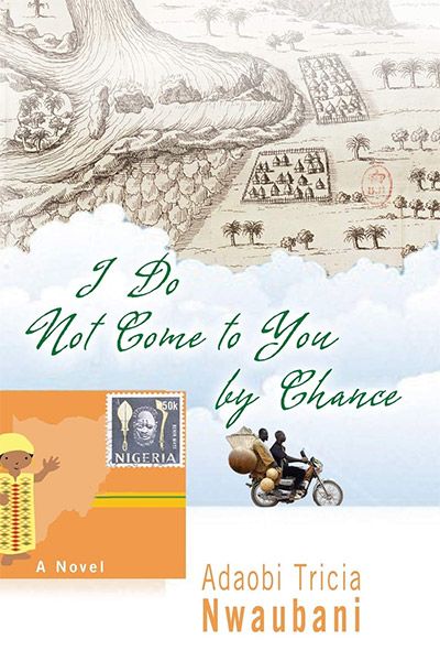 I Do Not Come To You By Chance bookcover
